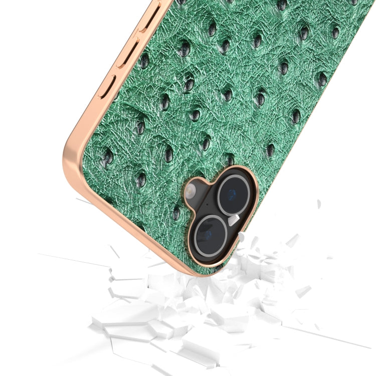 For iPhone 16 ABEEL Electroplating Frame Genuine Leather Ostrich Texture Phone Case(Green) - iPhone 16 Cases by buy2fix | Online Shopping UK | buy2fix