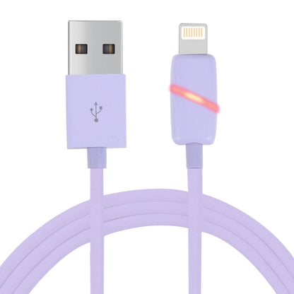 1m Circular Bobbin Gift Box Style 8 Pin to USB Data Sync Cable with Indicator for iPhone, iPad(Purple) - Normal Style Cable by buy2fix | Online Shopping UK | buy2fix