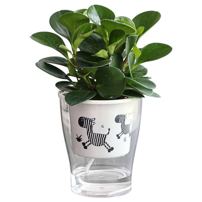 Fully Transparent Hydroponic Flower Pots Water Level Visible Non-Broken Glue Self-Absorbent Plastic Flower Pots, Size: W03 Caliber 11cm(Full Transparent Zebra Pattern) - Flower Pots & Planters by buy2fix | Online Shopping UK | buy2fix