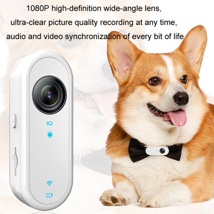 HD Outdoor Portable Pet Recorder Cycling Sports Camera, Specifications: No TF Card - Video Cameras by buy2fix | Online Shopping UK | buy2fix