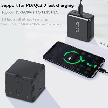 RUIGPRO USB Triple Batteries Housing Charger Box with LED Indicator Light for DJI OSMO Action 1 - Cable & Charger by buy2fix | Online Shopping UK | buy2fix