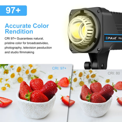 PULUZ 220V 120W Studio Video Light Dual Color Temperature Built-in Dissipate Heat System with Remote Control(EU Plug) - Shoe Mount Flashes by PULUZ | Online Shopping UK | buy2fix