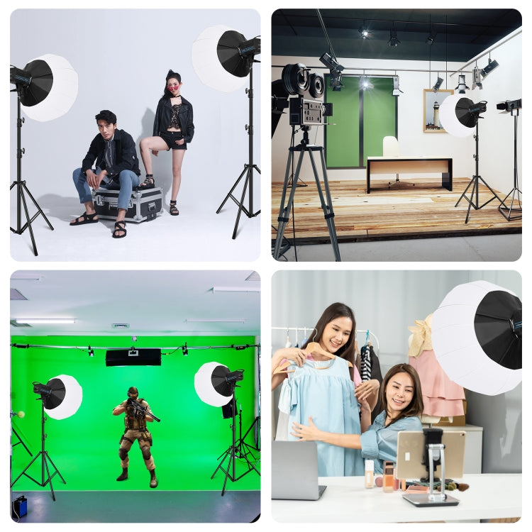 PULUZ 220V 120W Studio Video Light Dual Color Temperature Built-in Dissipate Heat System with Remote Control(EU Plug) - Shoe Mount Flashes by PULUZ | Online Shopping UK | buy2fix